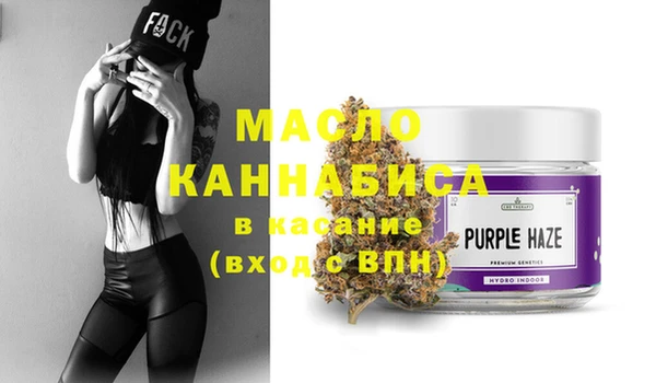 spice Инта