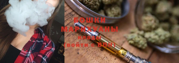 spice Инта