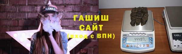 spice Инта