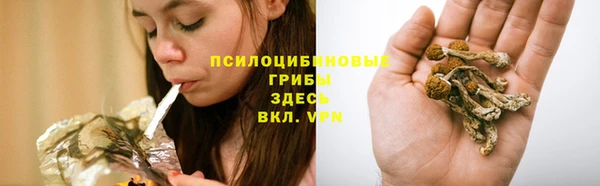 шишки Зеленокумск