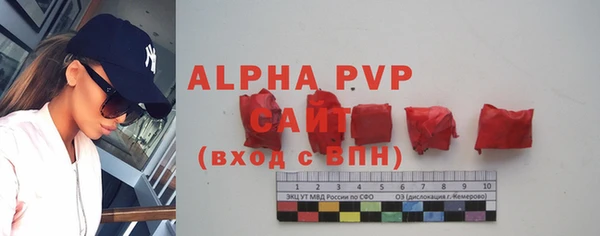 эйфоретик Инсар