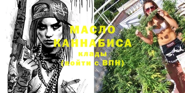 spice Инта