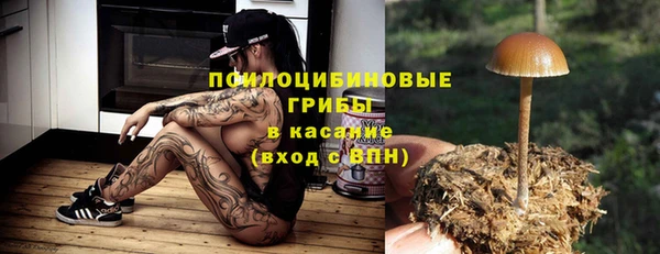 твердый Зеленодольск